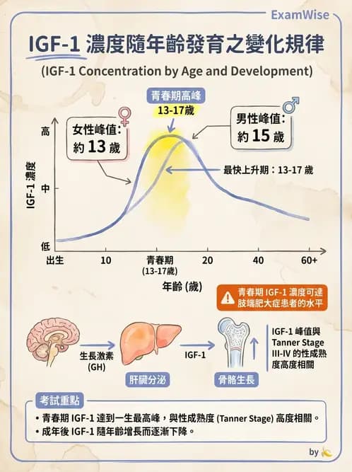 物治 - 骨骼生理與發展老化 - AI 圖文解析預覽