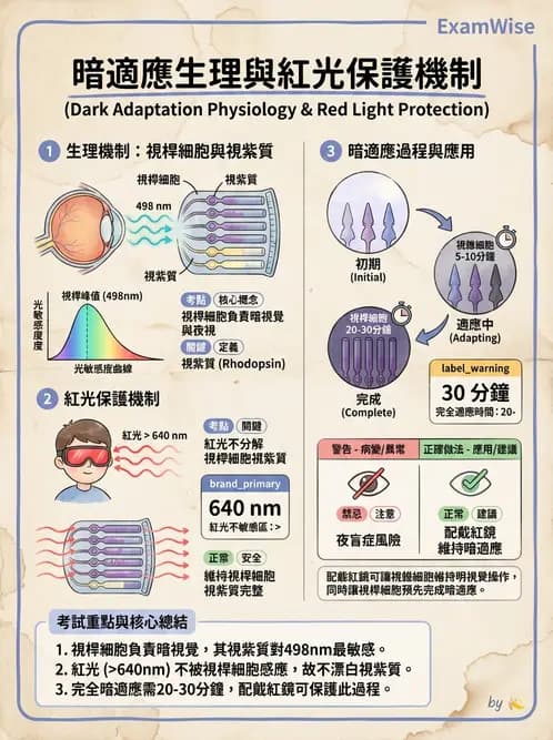 物治 - 神經系統生理 - AI 圖文解析預覽