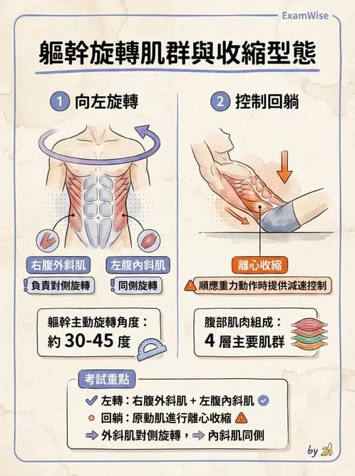 物治 - 軀幹肌動學與生物力學 - AI 圖文解析預覽