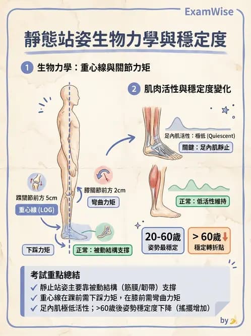 物治 - 異常步態與姿勢分析 - AI 圖文解析預覽