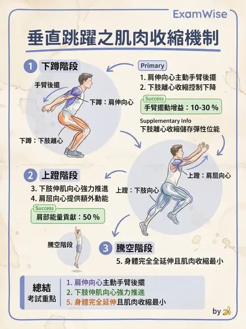物治 - 競技運動與肌力訓練動作分析 - AI 圖文解析預覽
