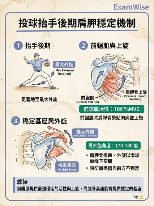 物治 - 競技運動與肌力訓練動作分析 - AI 圖文解析預覽