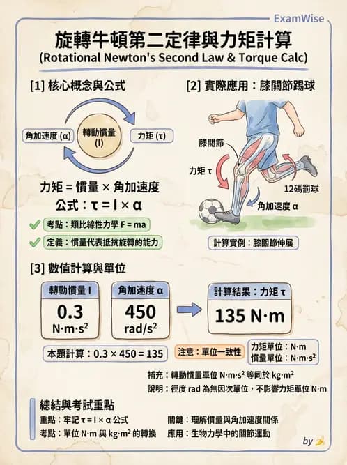 物治 - 關節運動學與生物力學計算 - AI 圖文解析預覽