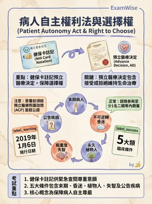 物治 - 病人權益與知情同意 - AI 圖文解析預覽