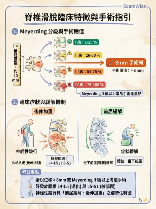 物治 - 骨科與外科疾病 - AI 圖文解析預覽