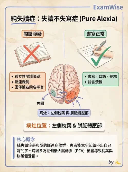 物治 - 腦血管疾病與腦外傷 - AI 圖文解析預覽