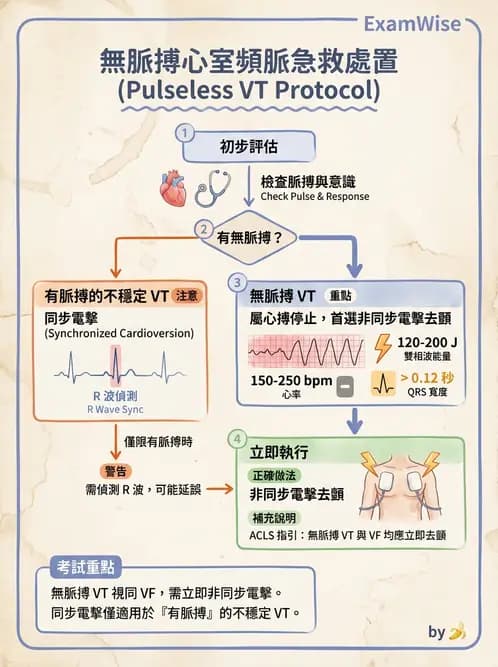 物治 - 心肺系統疾病 - AI 圖文解析預覽