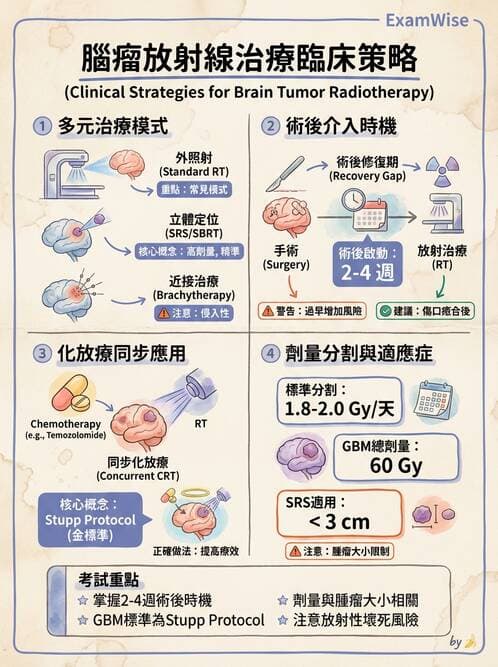 護理師 - 放療、疼痛管理與安寧護理 - AI 圖文解析預覽