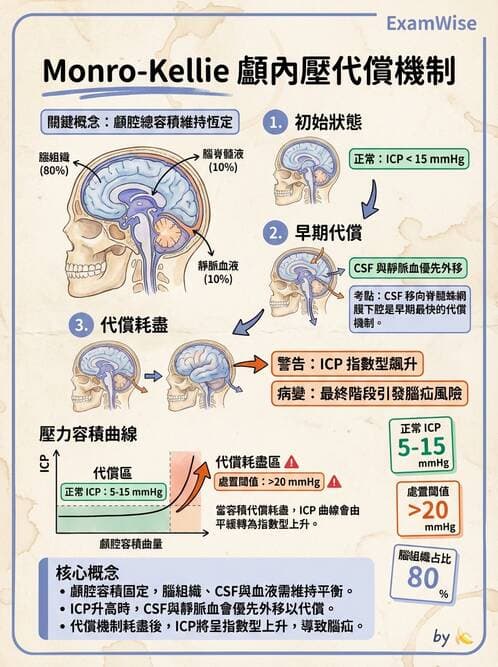 護理師 - 顱內壓升高與頭部外傷 - AI 圖文解析預覽