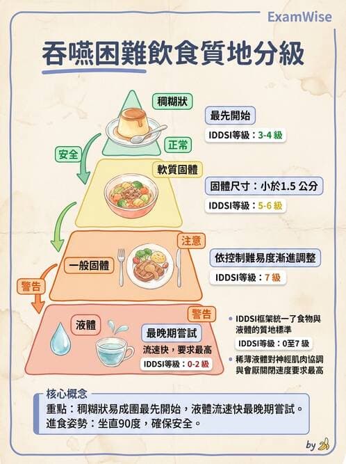 護理師 - 腦中風與腦血管疾病 - AI 圖文解析預覽