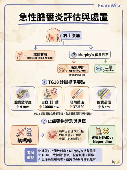 護理師 - 肝膽胰疾病 - AI 圖文解析預覽