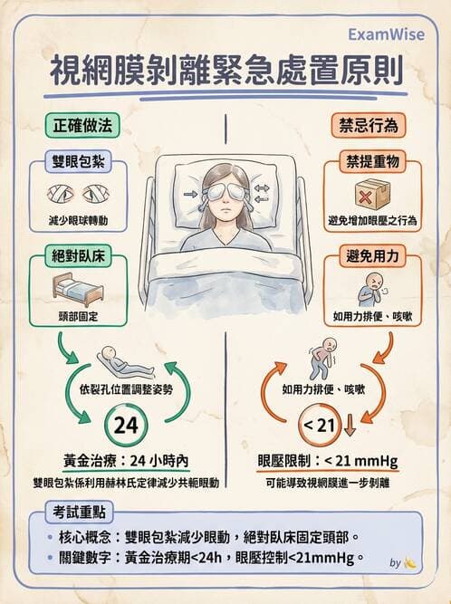 護理師 - 眼科疾病 - AI 圖文解析預覽