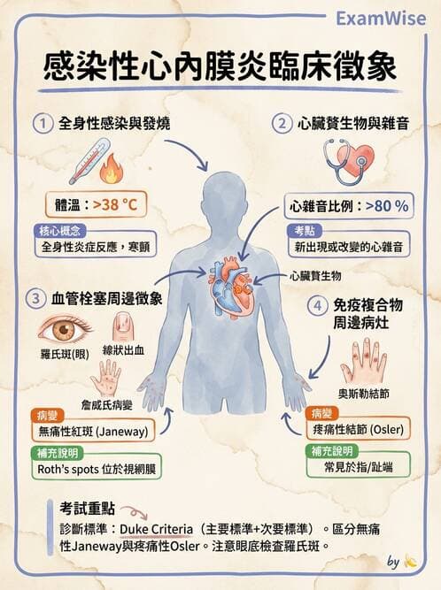 護理師 - 心臟瓣膜病與發炎性心臟病 - AI 圖文解析預覽