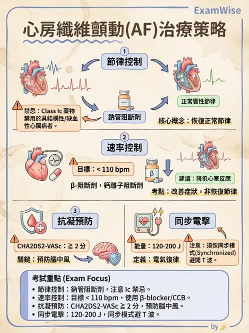 護理師 - 心臟衰竭與心律不整 - AI 圖文解析預覽
