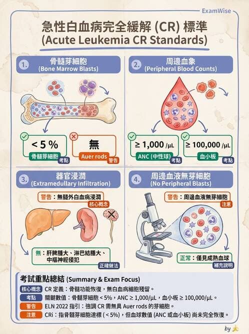護理師 - 血液腫瘤疾病 - AI 圖文解析預覽