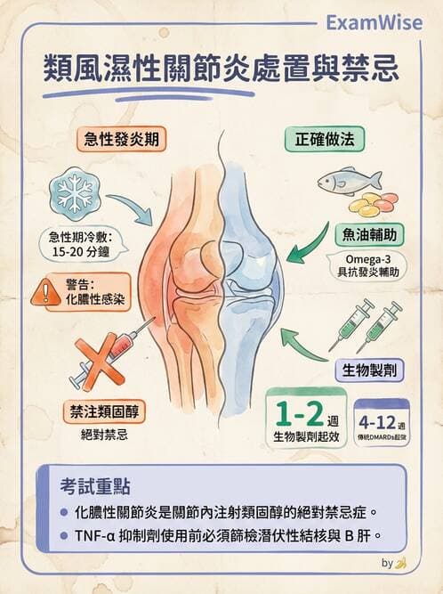 護理師 - 自體免疫疾病與過敏反應 - AI 圖文解析預覽