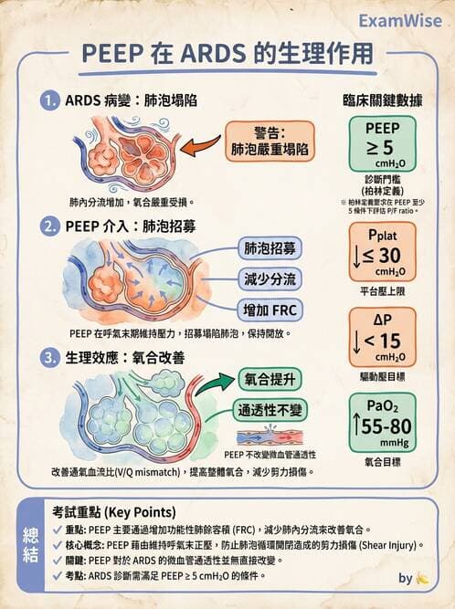 護理師 - 呼吸衰竭與胸腔護理 - AI 圖文解析預覽