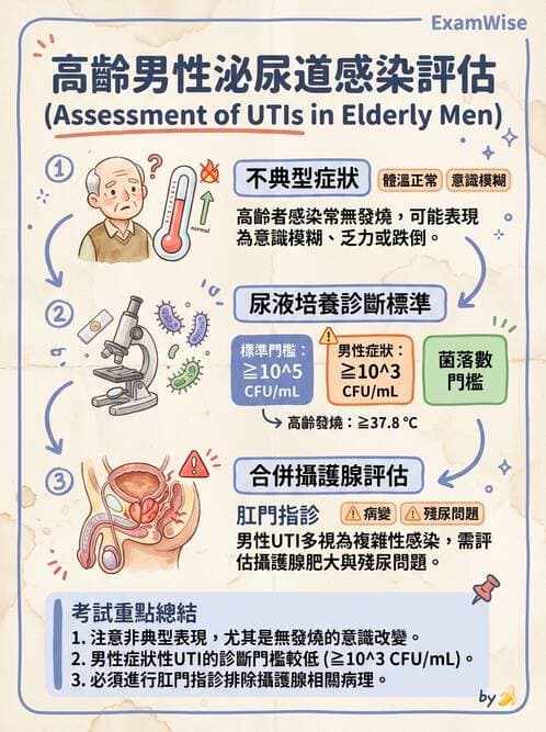 護理師 - 泌尿道疾病與排尿障礙 - AI 圖文解析預覽