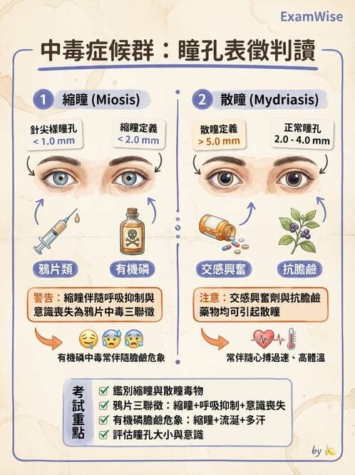護理師 - 中毒與外傷護理 - AI 圖文解析預覽
