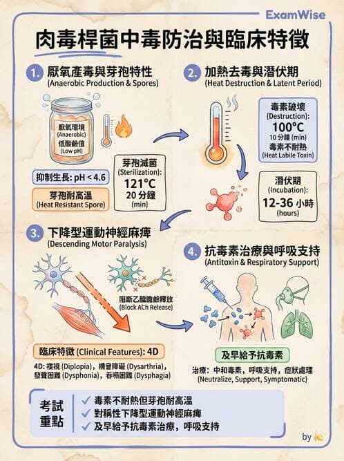 護理師 - 中毒與外傷護理 - AI 圖文解析預覽