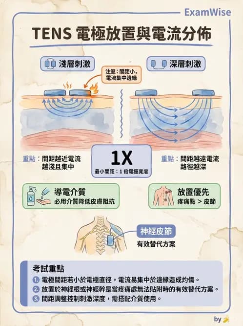 物治 - 經皮電刺激與電療基礎 - AI 圖文解析預覽