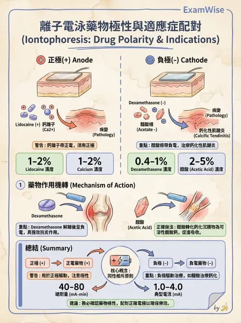 物治 - 離子導入法 - AI 圖文解析預覽