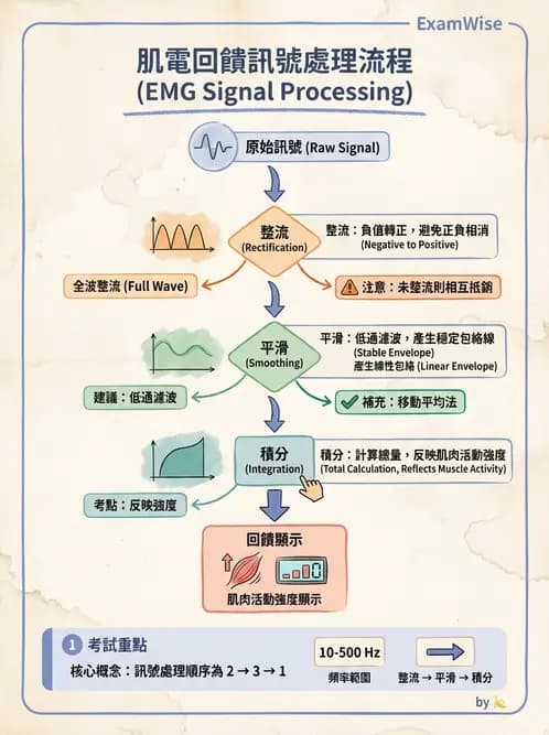 物治 - 肌電生物回饋 - AI 圖文解析預覽