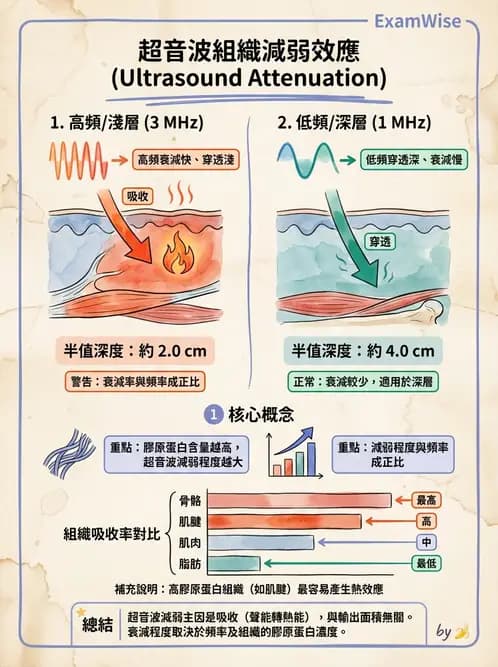 物治 - 超音波 - AI 圖文解析預覽