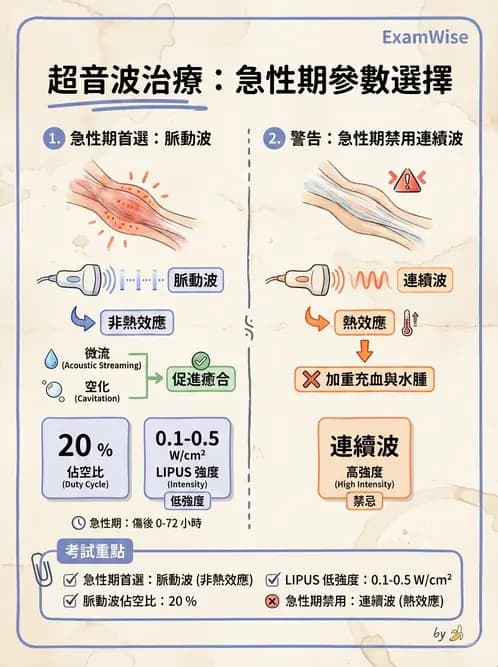 物治 - 超音波 - AI 圖文解析預覽