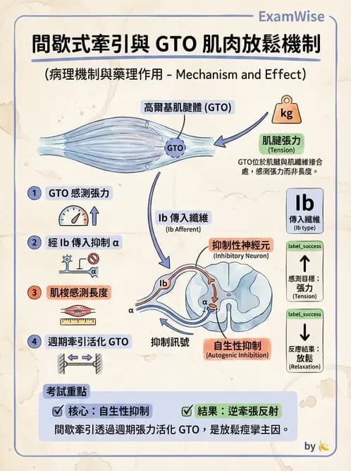 物治 - 力學因子 - AI 圖文解析預覽