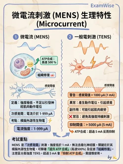 物治 - 物理因子特殊應用 - AI 圖文解析預覽