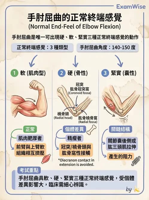 物治 - ROM通則與關節運動 - AI 圖文解析預覽