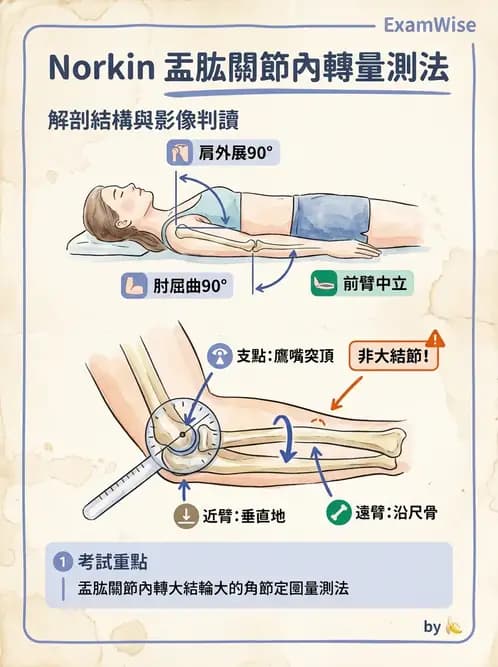 物治 - 上肢關節活動度 - AI 圖文解析預覽