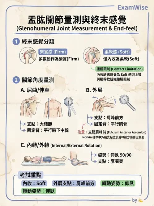 物治 - 上肢關節活動度 - AI 圖文解析預覽
