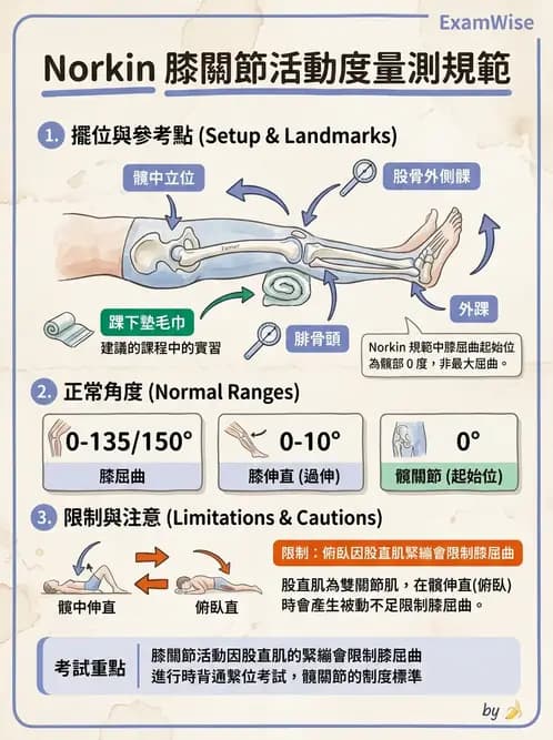 物治 - 下肢與脊椎關節活動度 - AI 圖文解析預覽