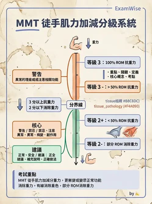 物治 - MMT通則、頭頸與軀幹 - AI 圖文解析預覽