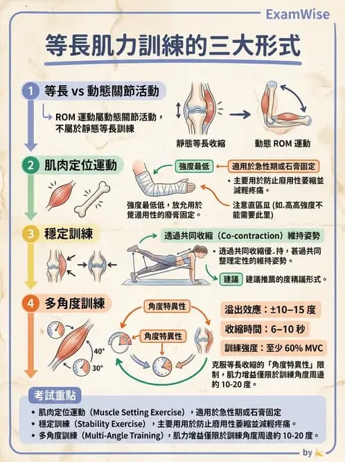 物治 - 肌力訓練方法 - AI 圖文解析預覽