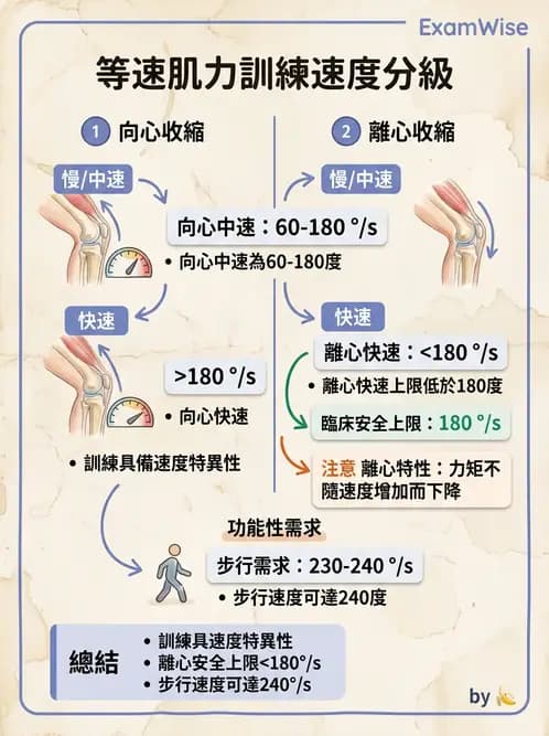 物治 - 肌力訓練方法 - AI 圖文解析預覽