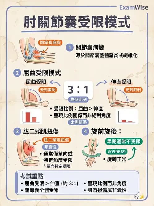 物治 - 鬆動術基礎概念與原則 - AI 圖文解析預覽