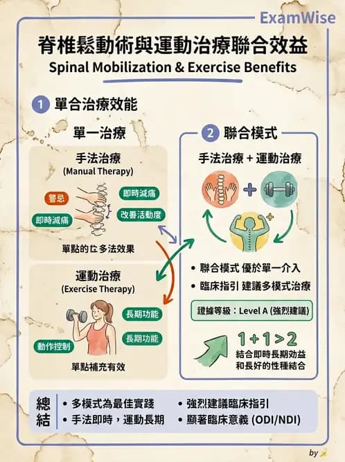 物治 - 脊椎鬆動術 - AI 圖文解析預覽