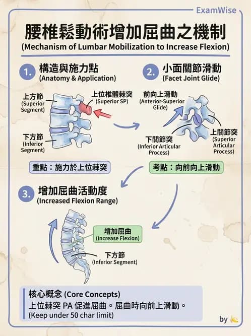 物治 - 脊椎鬆動術 - AI 圖文解析預覽