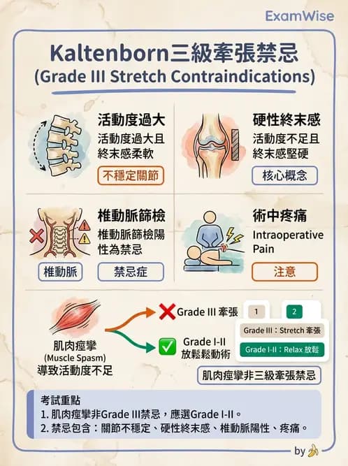 物治 - 脊椎鬆動術 - AI 圖文解析預覽