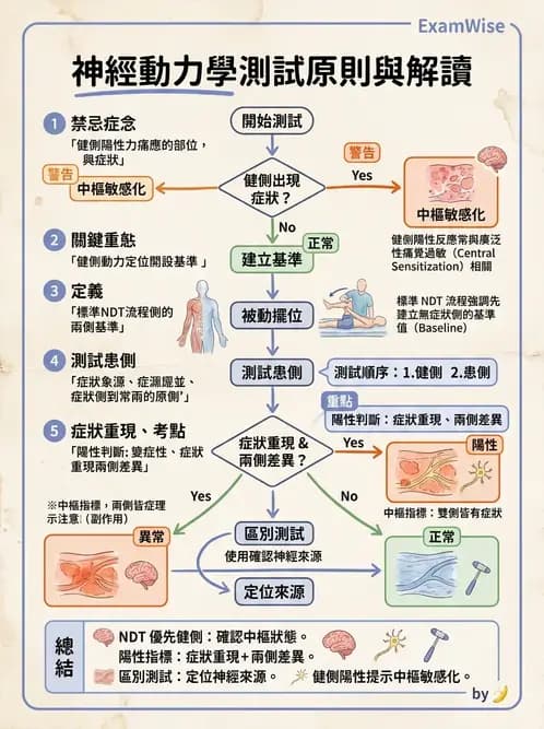物治 - 神經鬆動術 - AI 圖文解析預覽