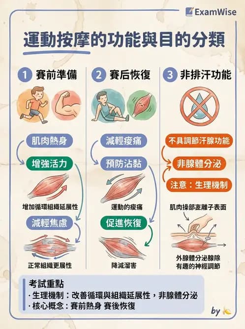 物治 - 瑞典式按摩與運動按摩 - AI 圖文解析預覽