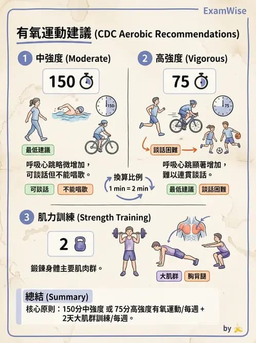 物治 - 肌耐力與神經肌肉適應 - AI 圖文解析預覽