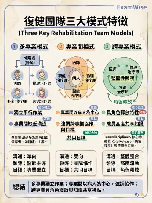 物治 - 跨團隊專業與長照 - AI 圖文解析預覽
