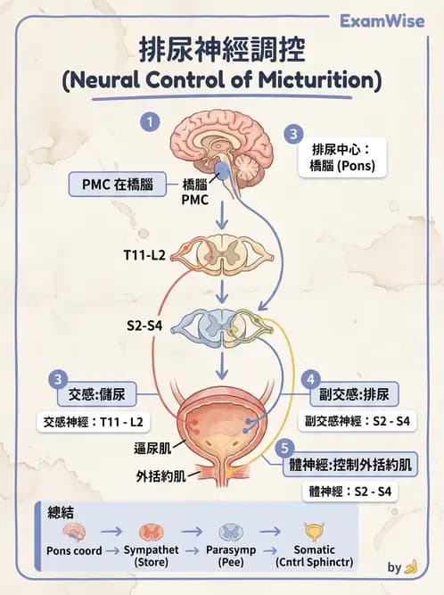 物治 - 功能評估與再教育 - AI 圖文解析預覽