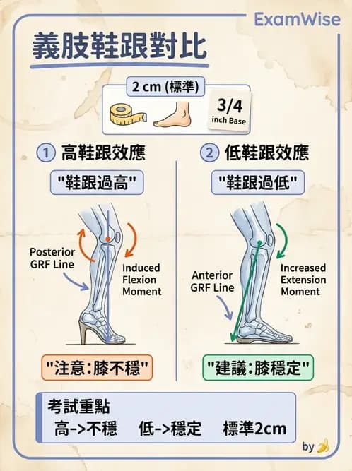 物治 - 義肢 - AI 圖文解析預覽