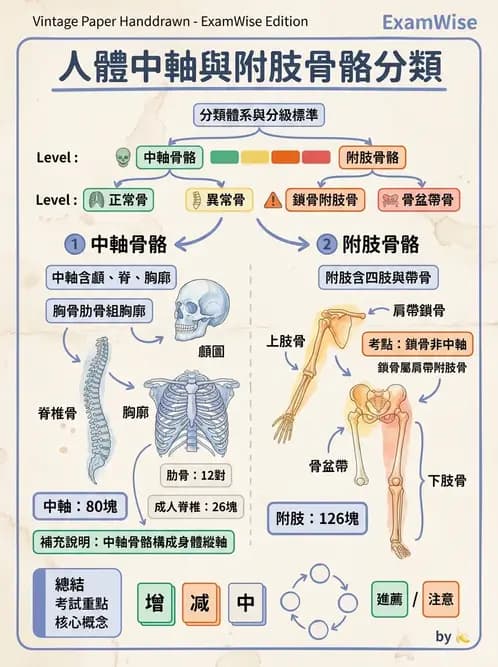 物治 - 骨骼與關節解剖 - AI 圖文解析預覽