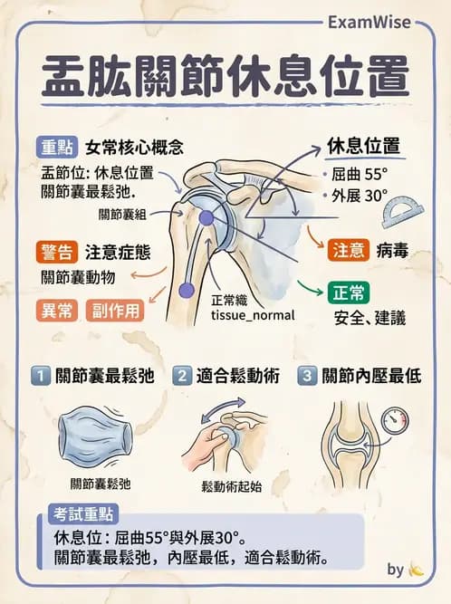 物治 - 肩關節複合體生物力學 - AI 圖文解析預覽